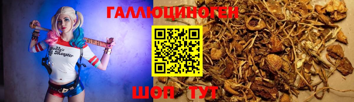продажа наркотиков  Псилоцибиновые грибы Cubensis  Галлюциногенные грибы Magic Shrooms  Вход с VPN  Муравленко 